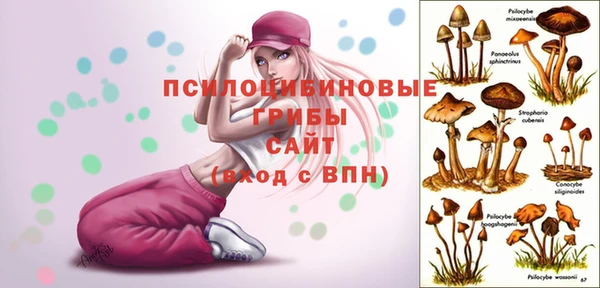 шишки Бронницы